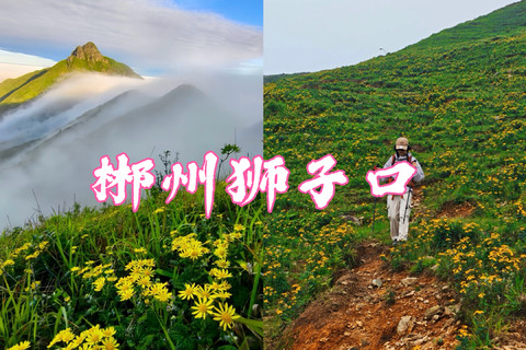 狮子口】7月4日晚-7.5日 特价218元 徒步郴州狮子口，郴州版“阿勒泰”！邂逅日出云海，绝美高山草甸，漫山小黄花！