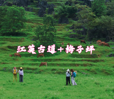 【江梅线】7月5日  打卡广东版“墨石公园&千里江山图.“ 漫步千年古道画卷，绝美风景超级出片！