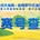 2026成天油脂·曲靖罗平花海健康跑参赛号查询