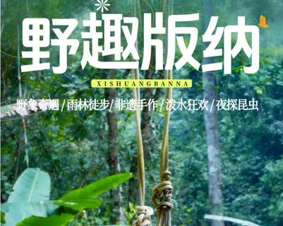 【野趣版纳5日】2-8人团！5-10月：热带雨林|野象谷 | 雨林徒步 | 傣族非遗手工 |