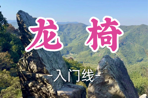 即将成团！89元起！周三8.12林白领队【世纪+宜山上车-龙椅10公里】|坐东海龙椅，漫步金沙村，穿行杉林茶海竹林