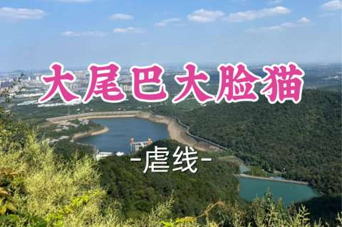 已成团！99元起！周六8.8【世纪上车-大尾巴大脸猫】| 小众原始，适合老驴强驴，越野跑拉练备赛！