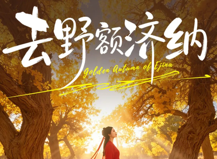 8.20前2人起报名优惠200元起【去野！额济纳6天】9-10月2-8人小团，银川起止，深度游玩额济纳胡杨林