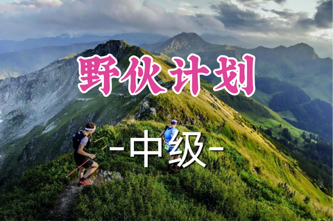 已成团！新活动！79元起！周六8.8小锤领队【宜山+嘉定上车-野伙计划】| 越野跑茶话会—在这里，不止赶路，更是谈心！