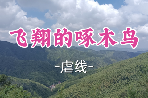 已成团！89元起！周日8.9多利安【宜山+松江上车-飞翔的啄木鸟】 | 18km/1400米爬升！