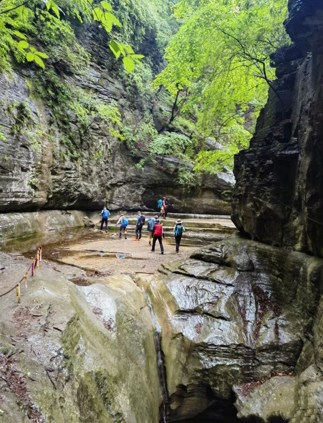 1754472258553092053.jpg 微信图片_20250806163348.jpg