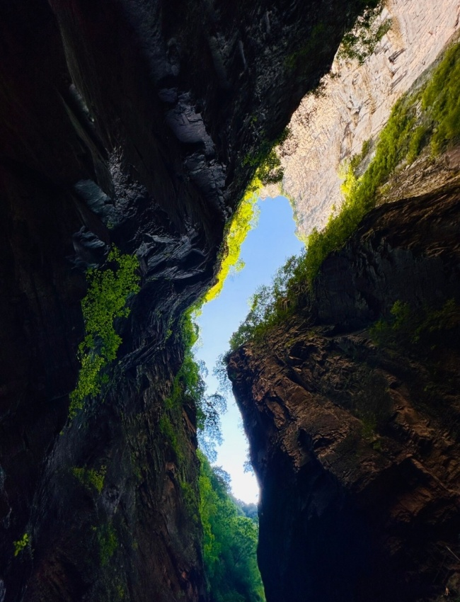 1754552092431043848.jpg 微信图片_20250806163511.jpg