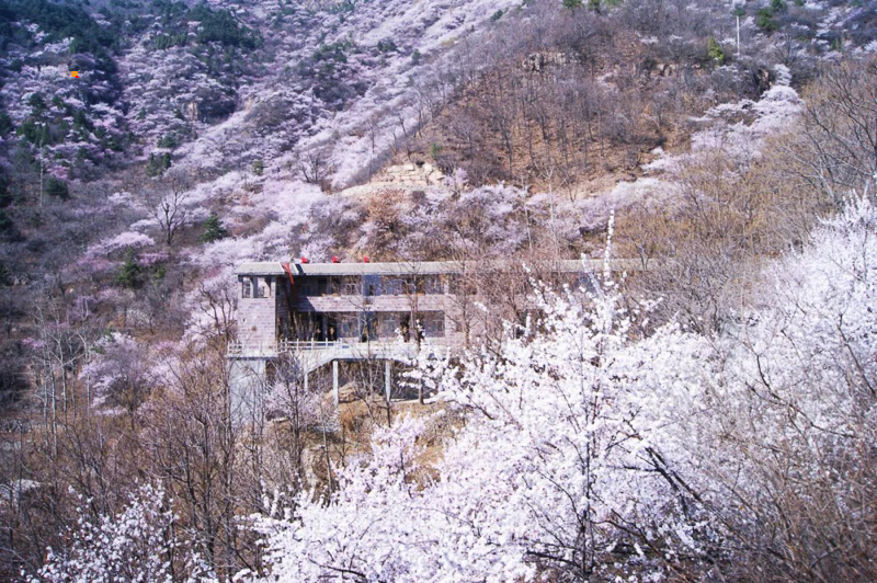 91.jpg