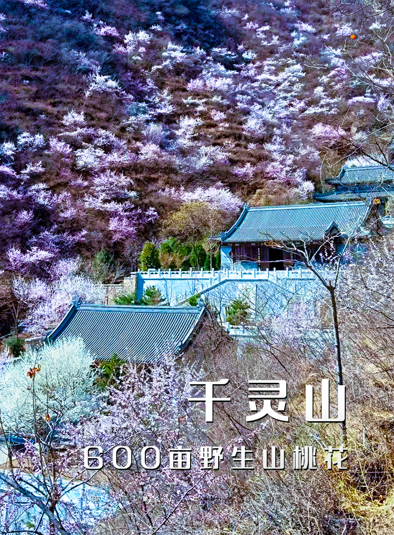 ▌ 印象分类-主图竖2.jpg