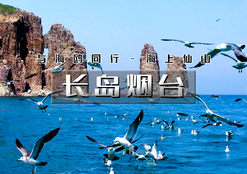1618125181_FWDPGj18.png