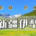 最美季节走进新疆【南疆+伊犁】探秘赛里木湖-独库公路-那拉提-巴音布鲁克9天游