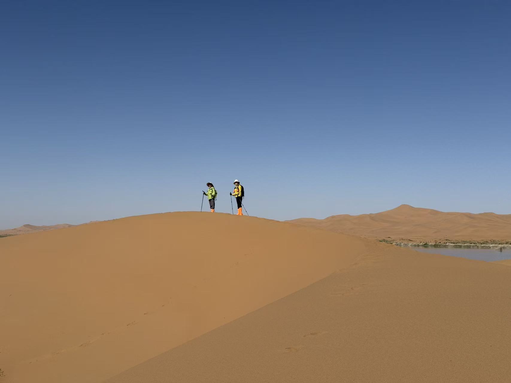 8c6c0802a39e7320347e79256197c09d.jpg