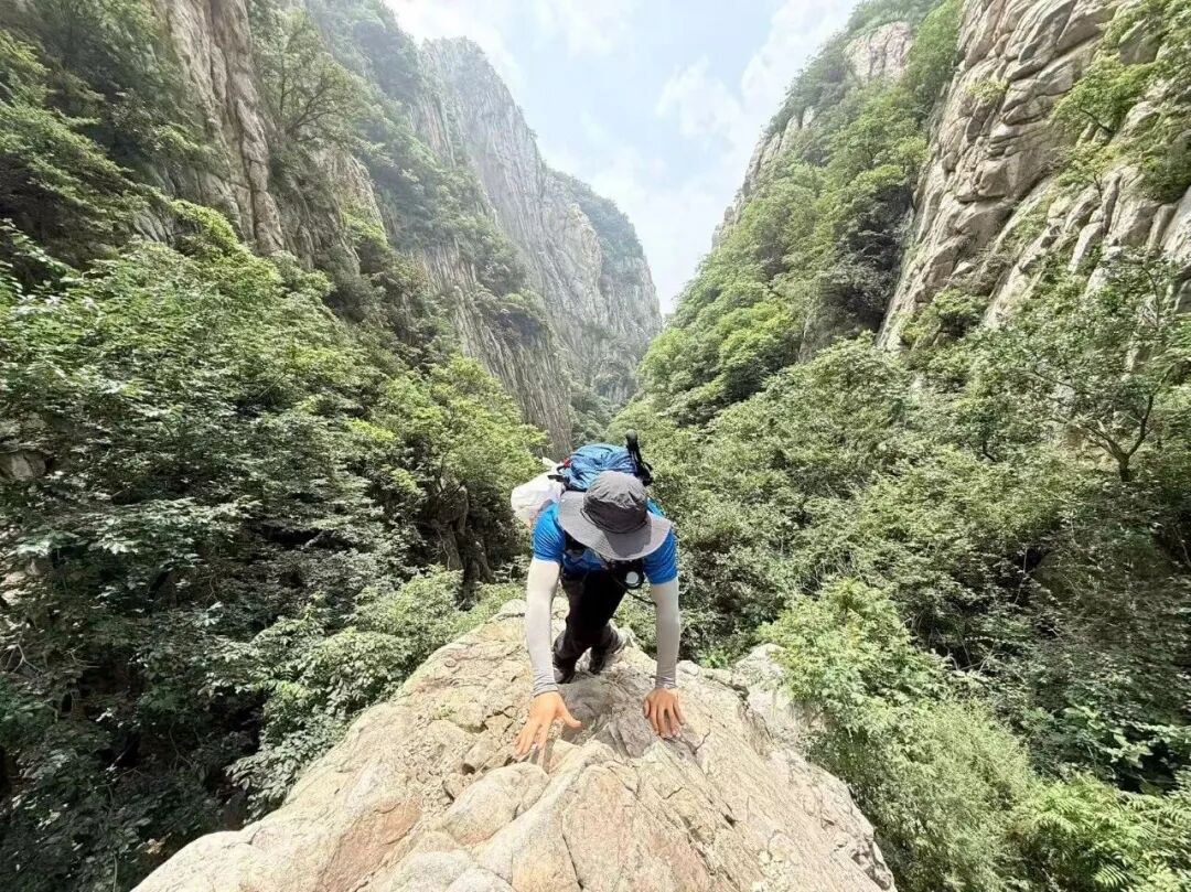 2a385d23947757b04b77abc23b4465e4.jpg