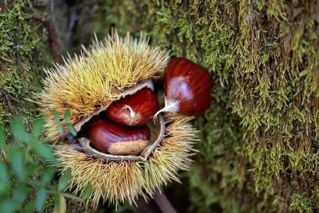 baa45903aaf43307c7c4794047500d07.jpg