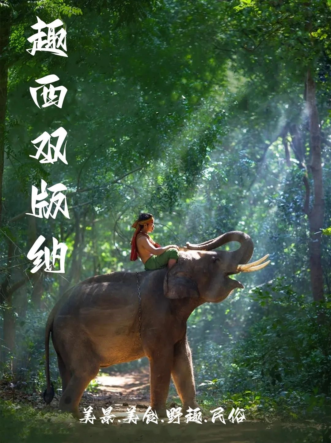封面二.jpg