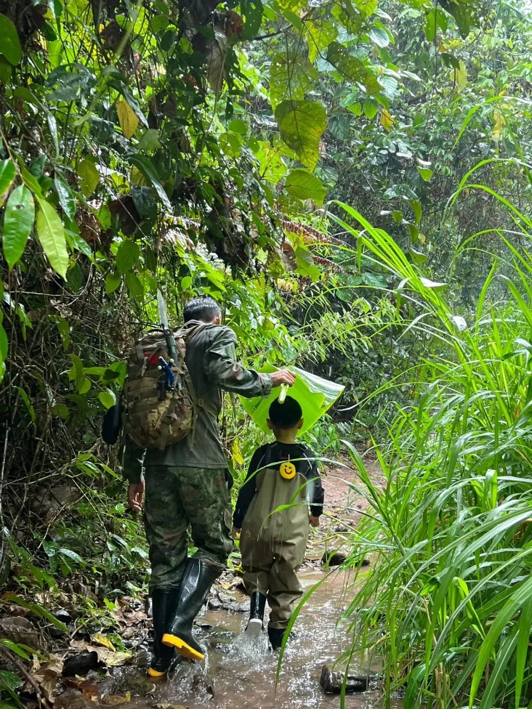 基诺山雨林亲子徒步｜与大自然零距离接触_1_毛球小怪_来自小红书网页版.jpg