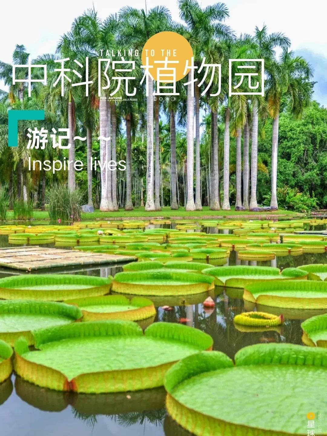 🌷版纳植物园 来西双版纳的不二选择_1_西双版纳的精灵_来自小红书网页版.jpg