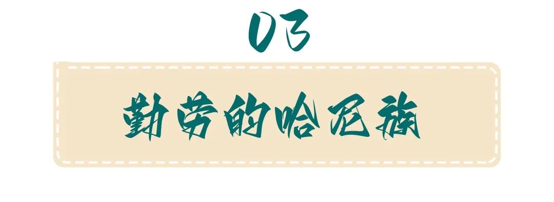 03.jpg