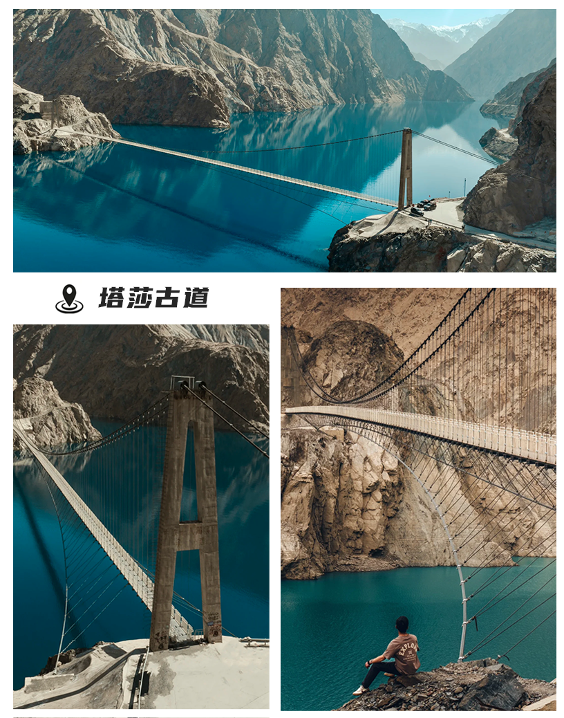 塔莎.png