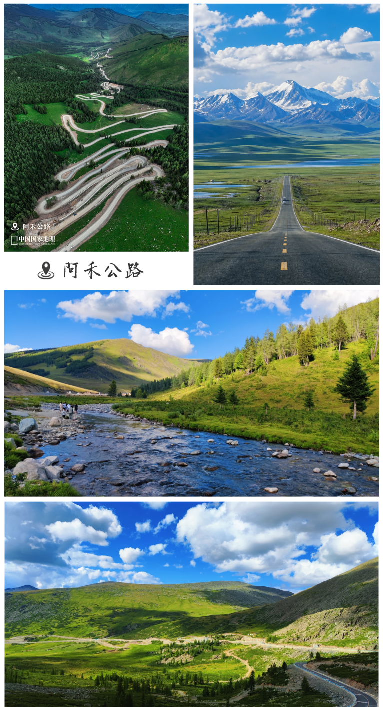 阿禾.png