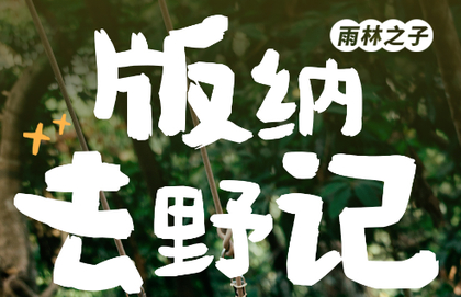 【版纳去野记5天】3-8月：版纳&普洱两地解散+雨林秘境+曼听公园+野象谷+傣族园+中科院植物园