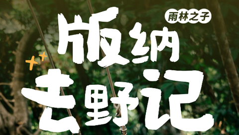 【版纳去野记5天】3-8月：版纳&普洱两地解散+雨林秘境+曼听公园+野象谷+傣族园+中科院植物园