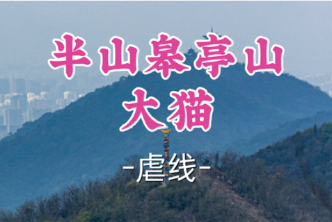 即将成团！北冥领队！周四7.2【半山皋亭山大猫】|登皋亭山，揽全城景。