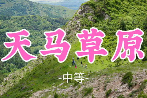 送周年纪念徽章！转发半价！即将成团！强哥领队！69元起！【天马草原14公里】周日8.9|邂逅宫崎骏同款治愈系美景