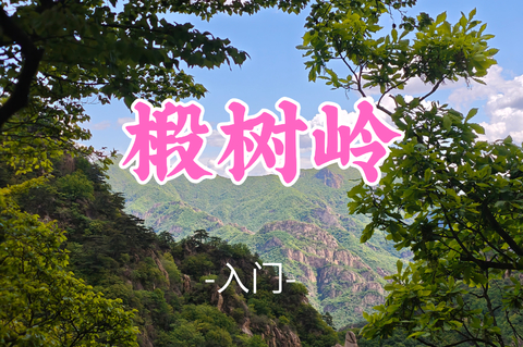 送周年纪念徽章！转发半价！即将成团！59元起！【椴树岭10公里】周日8.9|森林溯溪徒步，沉浸式清凉幽谷！