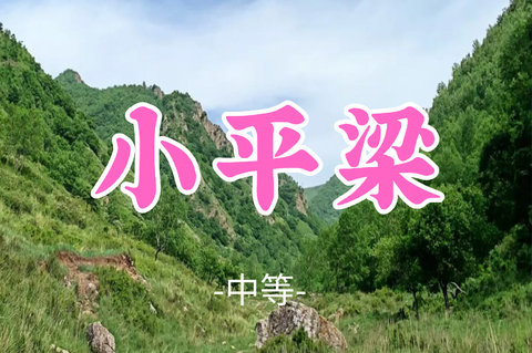 送周年纪念徽章！转发半价！即将成团！晓风领队！89元起！【小平梁11公里】周日8.9|风车花海松林云海一站式山野徒步