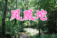 送周年纪念徽章！转发半价！即将成团！十二领队！59元起！【凤凰坨11公里】周六8.8| 森林徒步，呼吸清新空气~