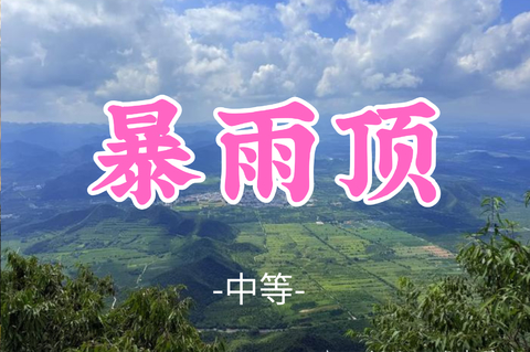 已成团！送周年纪念徽章！转发半价！李李领队！59元起！【暴雨顶12公里】周六8.8|迷雾中探秘蘑菇之路，误闯动漫世界