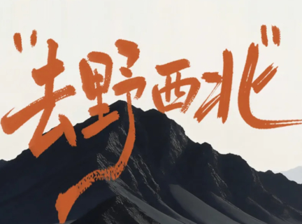 【去野！西北深度纯玩7天】2-8人小团2026超高性价比首选出游方式，经典丝路环线走法，小团出行更享自由！