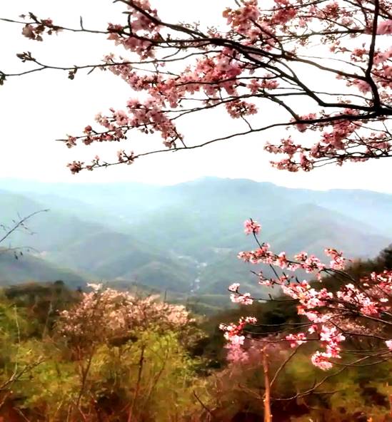 微信图片_20251217205001_188_132