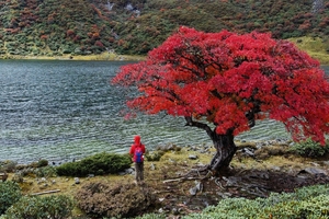 哈巴雪山黑海徒步（1天行程）