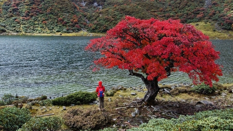 哈巴雪山黑海徒步（1天行程）