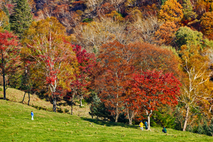 【长白山赏秋自驾】 | 10月1- 6日中朝边境，火山彩林秋色，最美枫叶大道六日赏秋自驾