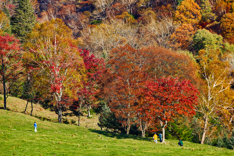 【长白山赏秋自驾】 | 10月1- 6日中朝边境，火山彩林秋色，最美枫叶大道六日赏秋自驾