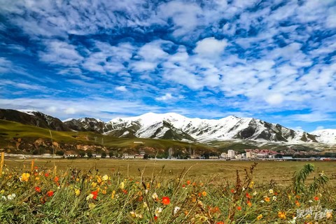 【甘南自驾】10月1-7日走遍甘南，去看蓝天白云、草原湖泊、花海湿地、森林河流、寺庙经幡……