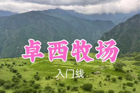 转发返现！特价69元起！7.4周六【卓西牧场8公里】去高山草甸沉浸式吸氧，邂逅牛羊与野生小动物~