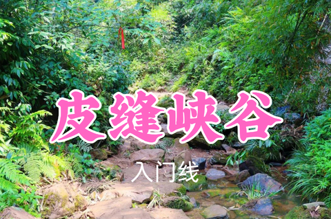即将成团！转发返现！特价69元起！田田领队！6.30周二【皮缝峡谷10公里】竹林穿越+溶洞探秘，解锁山野乐趣~
