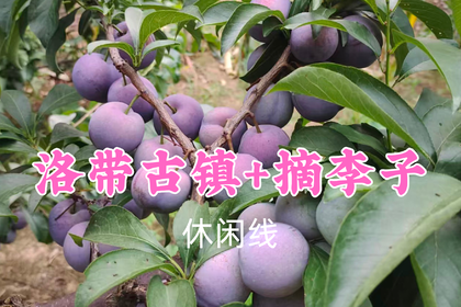 转发返现！特价39元起！7.4周六【洛带古镇+摘李子】打卡 280 年湖广会馆客家古建，古镇逛吃 + 石板滩自助摘李子~