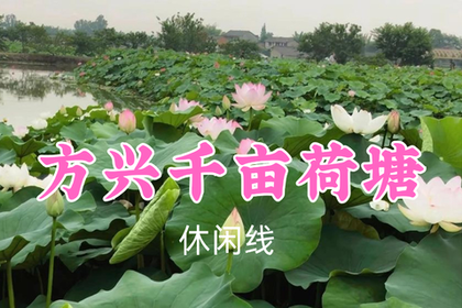 转发返现！特价59元起！7.5周日【方兴千亩荷塘】赴千亩荷塘，探秘“蜀中小敦煌”，荷香禅意治愈一夏！