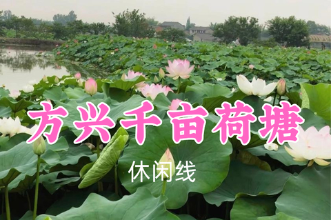 转发返现！特价59元起！7.5周日【方兴千亩荷塘】赴千亩荷塘，探秘“蜀中小敦煌”，荷香禅意治愈一夏！