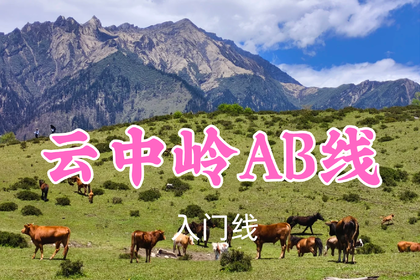 转发返现！特价79元起！7.4周六【云中岭AB线】高山草甸，牛羊成群~