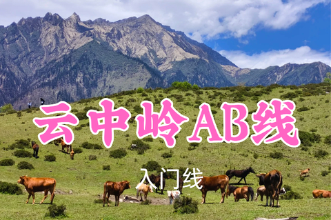 转发返现！特价79元起！7.4周六【云中岭AB线】高山草甸，牛羊成群~