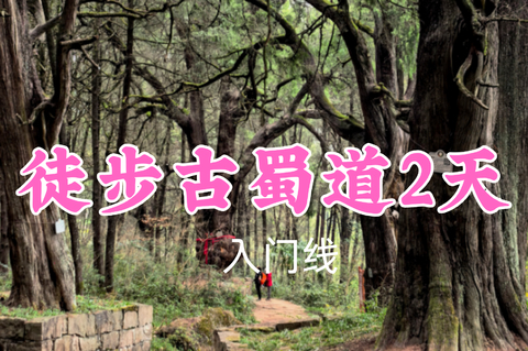 即将成团！转发返现！特价459元起！7.4-5【徒步古蜀道2天】抄手铺+拦马墙，亲子友好！徒步蜀道精华线，千年古柏成林