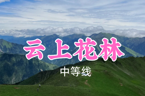 即将成团！转发返现！特价89元起！小宇领队！6.30【云上花林10公里】高山杜鹃花开啦，登巴郎山小众秘境，远眺幺妹峰~
