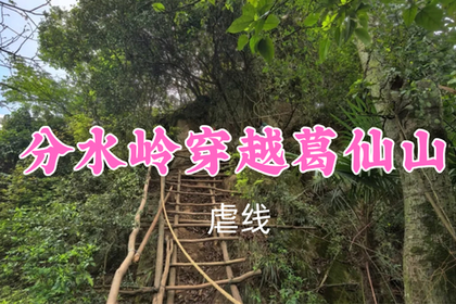 即将成团！转发返现！49元起！人才领队！6.30【彭州分水岭穿越葛仙山A线19公里】人才领队！沉浸式丛林吸氧徒步 ~