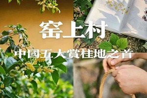 江南寻香记||10.17/10.18窑上村轻徒步赏桂，探秘石壁禅寺，邂逅太湖小洱海（转发/多人同行优惠20元/人）